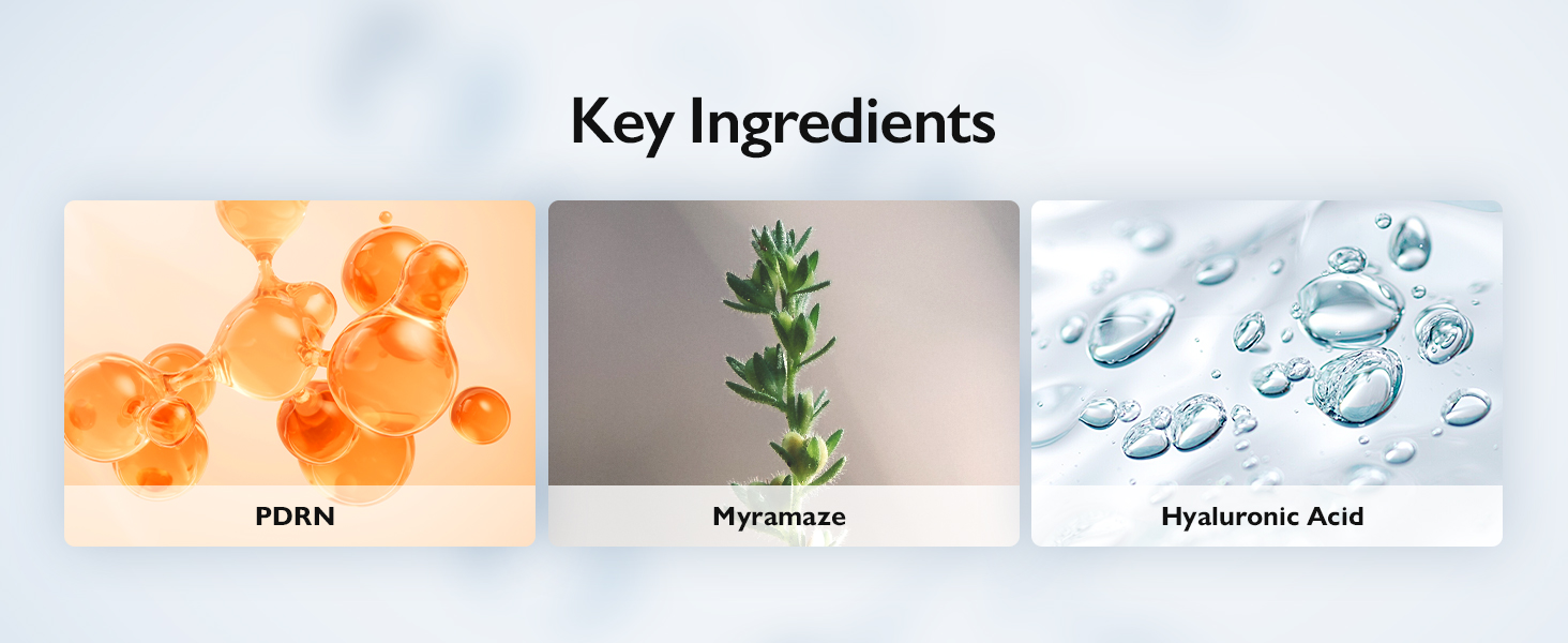 Key Ingredients