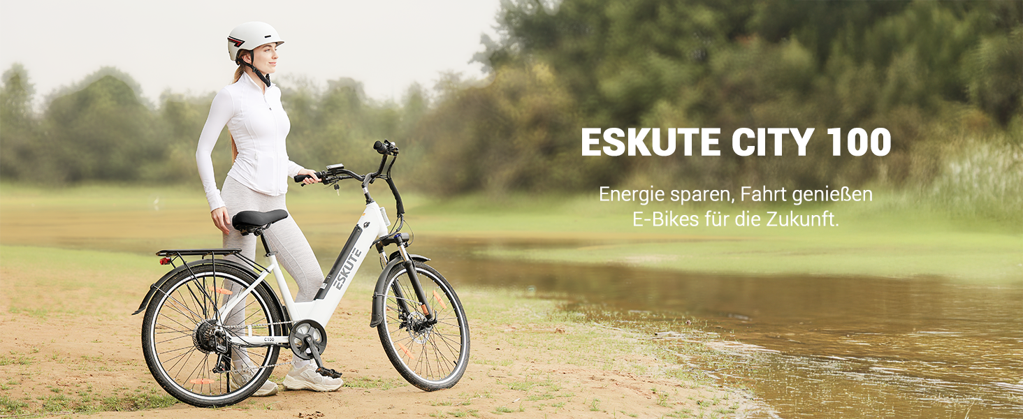 e-bike damen