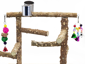 Perch stand come in different heights with different toys,Inspire your feathered friends to explore