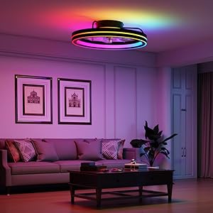 low profile ceiling fan