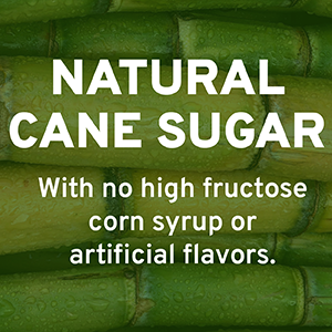 adult multivitamins natural