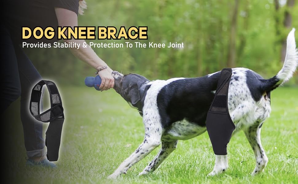 LiMMAX Dog Knee Brace Dog Leg Brace for Torn acl Hind Leg