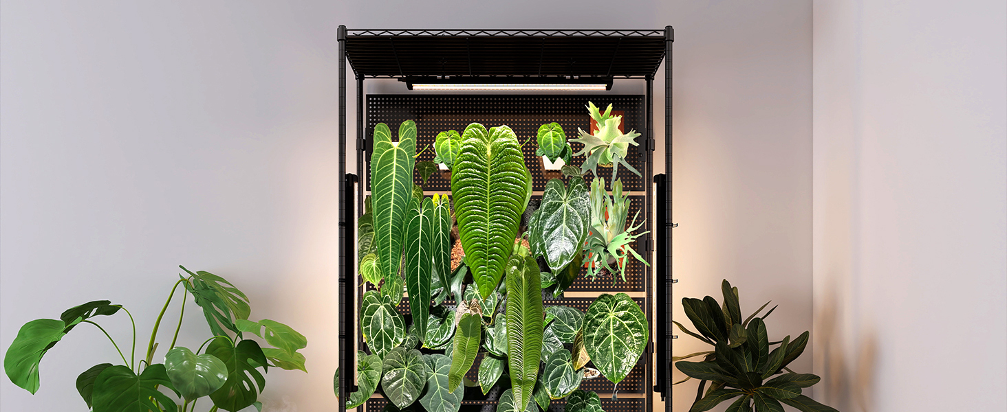 mini greenhouse
