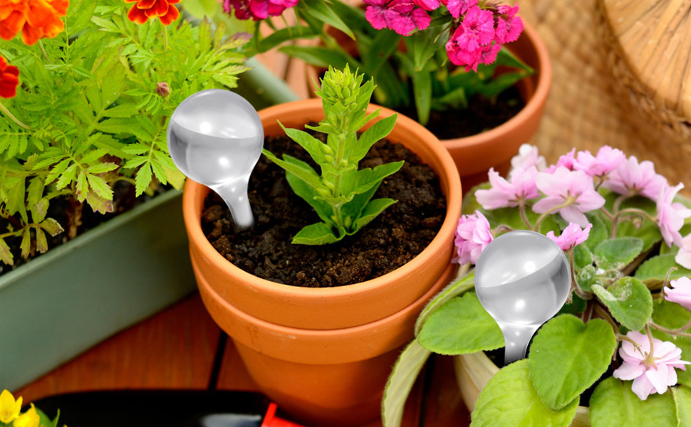 self watering globes