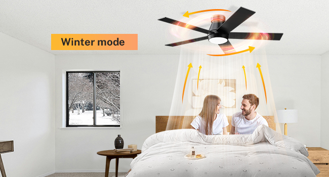 TCL 52&#34; Ceiling Fan with Lights, Black Flush Mount Ceiling Fans