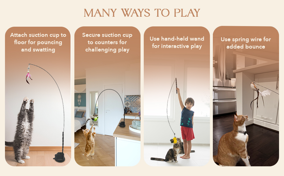 Suitable for All Cats, Many ways to Play!