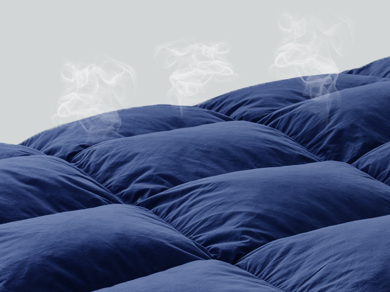 Dreamhood Luxury 90% Goose Feathers Comforter King Size - All Season Medium Warmth with 8 Corner Tabs (Navy, 106x90 Inch 18e1e995 3c91 4e60 97a7 88f24b5e64a0. CR0,0,800,600 PT0 SX800 V1
