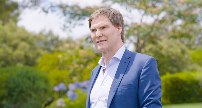 Maschmeyer, Die sechs Elemente des Erfolgs