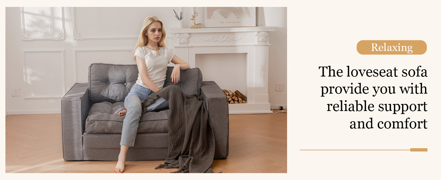 Loveseat Sleeper Sofa