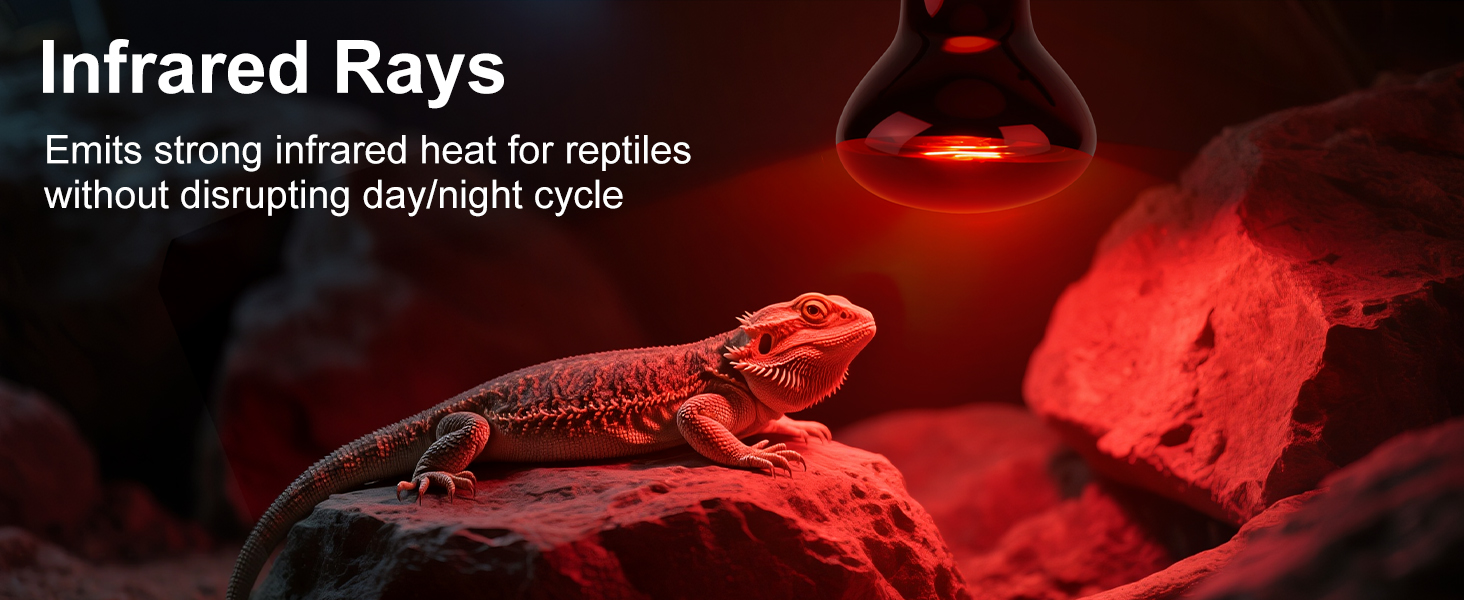 KINUR 75W Reptile Heat Lamp Bulb
