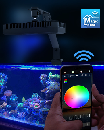 Lominie 57 W éclairage d'aquarium, 88-115 cm éclairage LED d'aquarium,  lumière de Plantes d'aquarium à Spectre Complet avec minuterie pour algues  et Poissons d'aquarium, IP67 étanche : : Animalerie