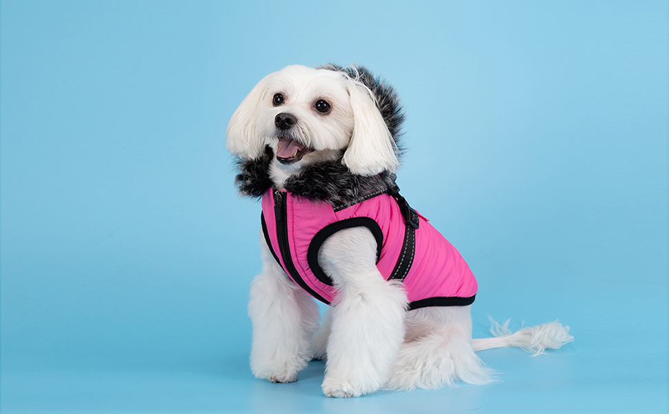 ELILY Hooded Dog Coat Harness. Padded Winter Jacket for