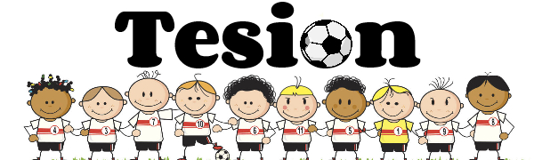 football game high quality mesh jerseys for team sports basketball rugby hockey volleyball running