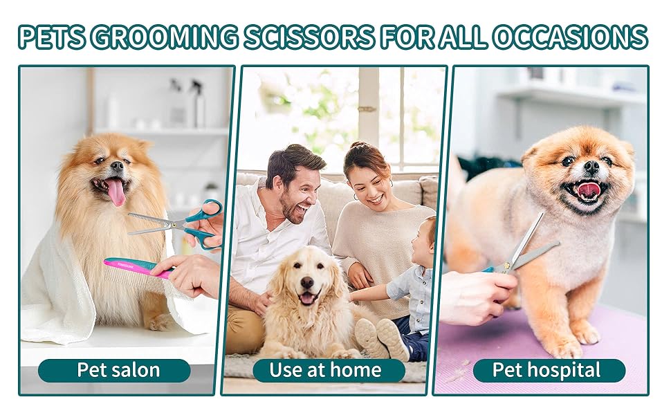 Pet grooming kit for dog