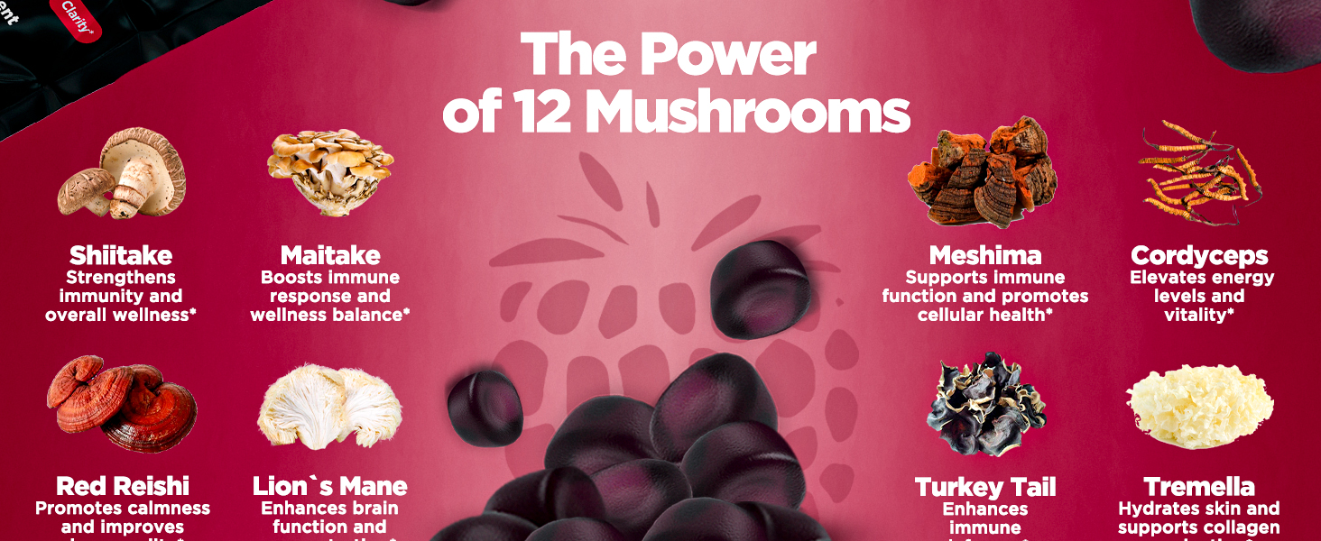 19124ef5-c527-4dc9-b422-ca3aacf05871.__CR0,0,1464,600_PT0_SX1464_V1___ KIKI Green 12 Mushroom Supplement Gummies - Lion's Mane, Cordyceps, Chaga, Reishi, Turkey Tail & 7 More for Memory, Focus, Immunity - 60 Mushroom Gummies for Adults with Raspberry Flavor 10:1 Extract