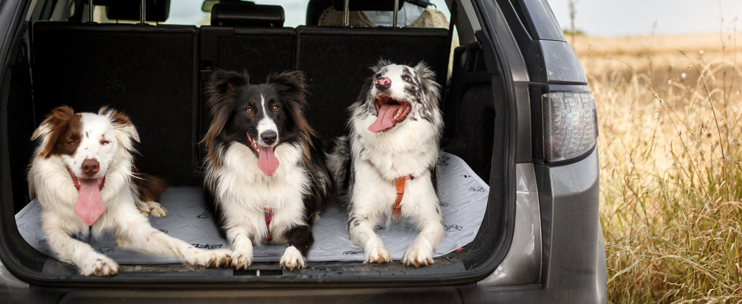 Dog Pee Pad Washable 65x48 Large, Fast Absorption Reusable