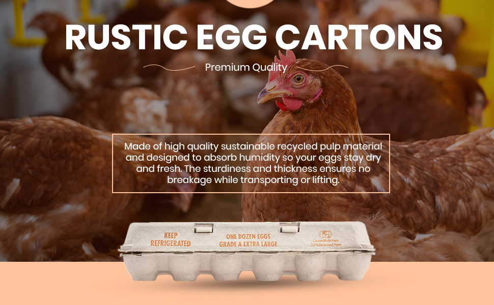 Printed Natural Pulp Egg Cartons Holds Up to Twelve Eggs