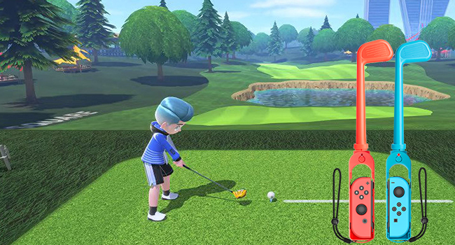 Switch Sports Accessories