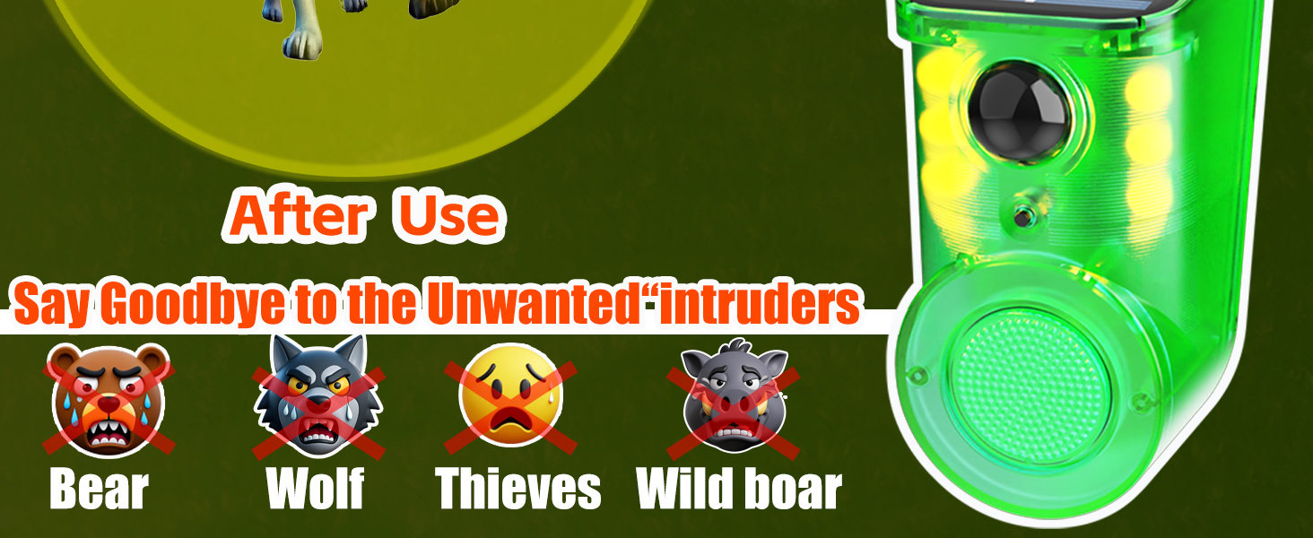 motion detector alarm