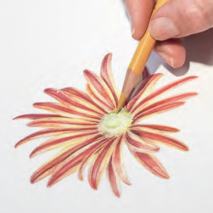Small manufacture image 8