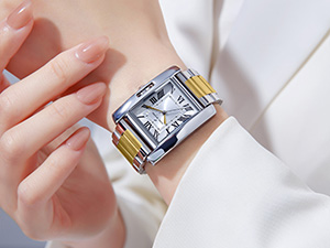 stainless steel strap