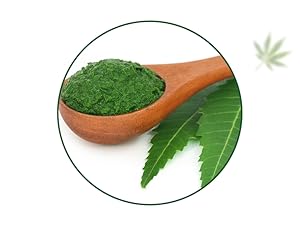 Hampa Ganja Protein Bar 50 G | Mixed berries taste | 10G plant protein | No whey, vegetarian friendly. No pair of sugar, sweet with dates. Snack anytime with adesteine protein. Pack of 3 Ganja to Edistine Protein