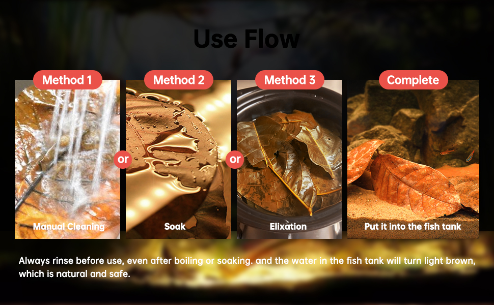 indian almond leaves catappa leaves betta water almond leaves