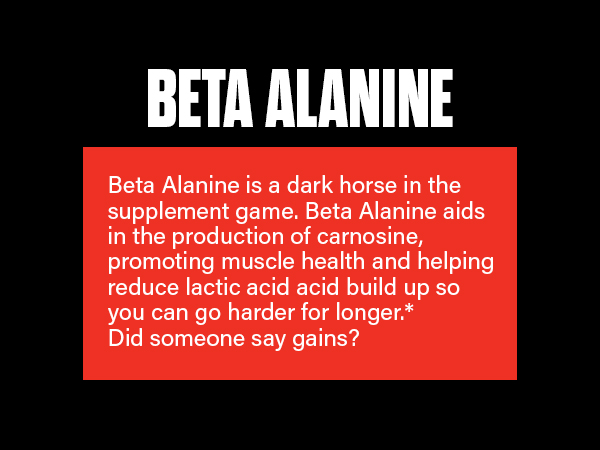 The Curse, JNX Sports, Pre-Workout, Creatine, Beta Alanine, L-Citrulline, L-Arginine, Supplement