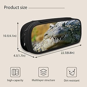 Amazon.com | Crocodile Backpack Set with Lunch Bag and