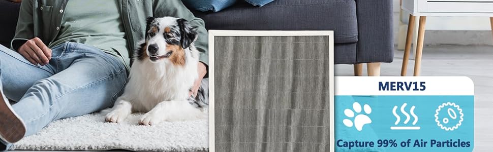 PGAPXCAR2420-a02 filter replacement