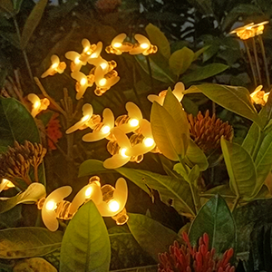 solar bee lights