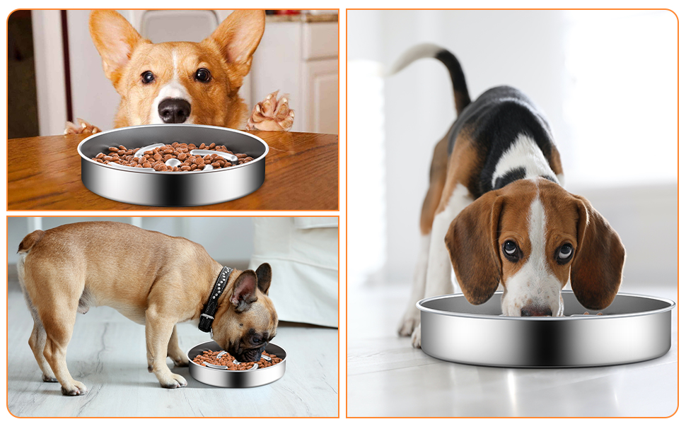 Slow Feeder Dog Bowl Stainless Steel 2 Cups NonSlip