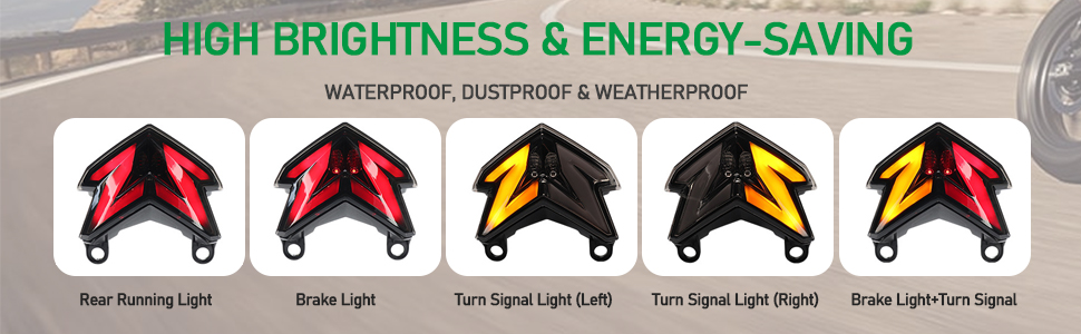 Monochrome 60HS FLAT 金タキビラ Amazon.com: ZX-6R Motorcycle Tail Light, LED Turn Signal