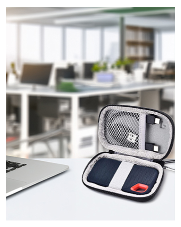 Case Compatible with SanDisk
