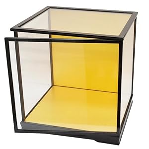 五月人形ガラスケース入り Amazon | 五月人形ケース 人形ケース 横50奥35高50cm ガラス