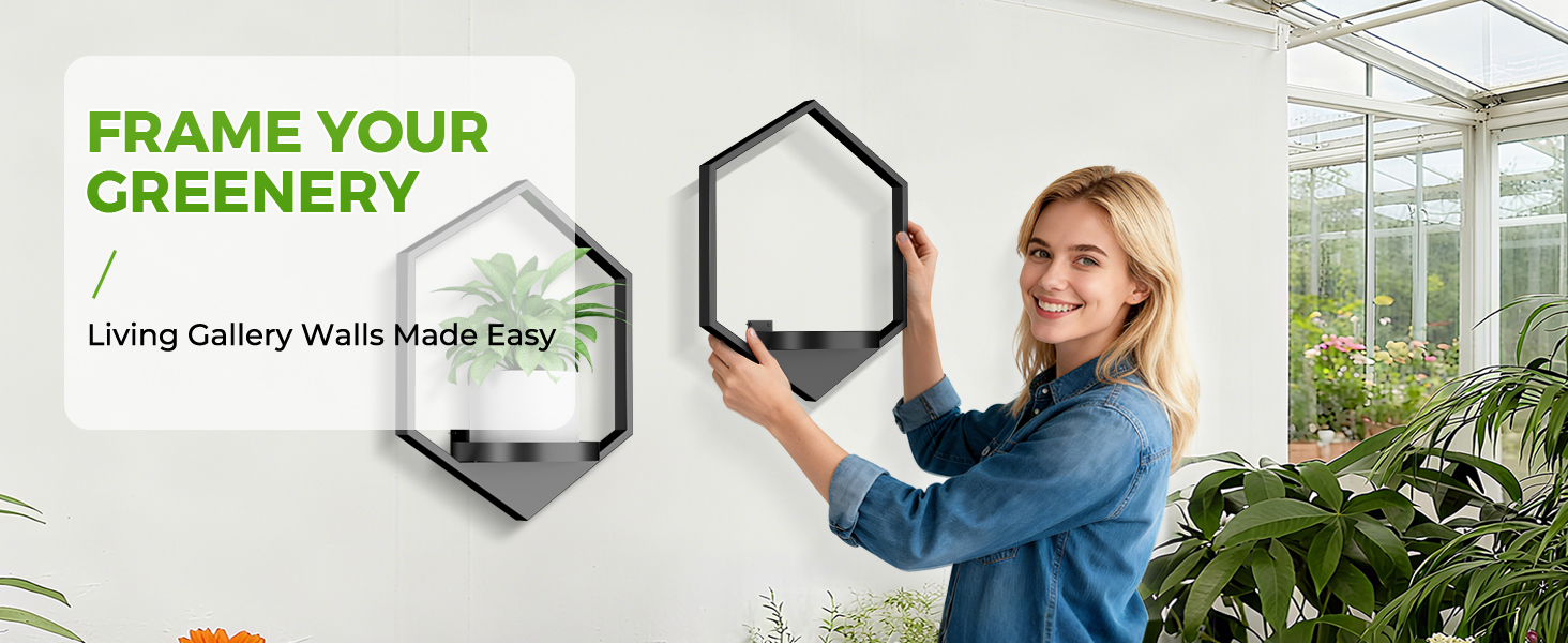 wall shelf for plants