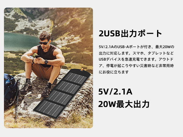 Amazon.co.jp: Philips (フィリップス) 20Wソーラーパネル