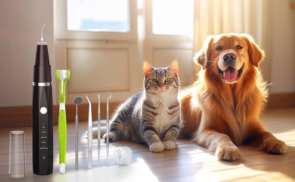 Dog ToothBrush Kit, Ultrasonic Dental Tools to Remove Plaque and Tartar