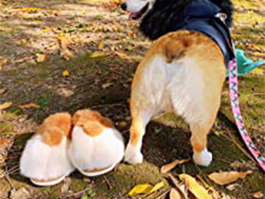 Small manufacture image 6