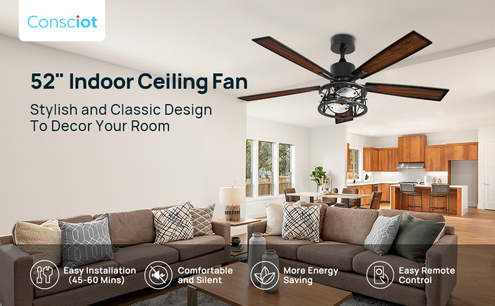 ceiling fan