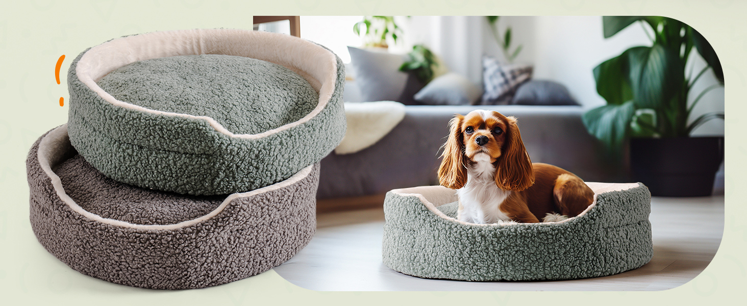 MEWOOFUN Cat Beds for Indoor Cats Large - 58x58cm Round Cat Bed Soft with Double-sided Mat, Pet Bed Washable for Cats, Puppy and Small Dogs, Sage Green 26 1