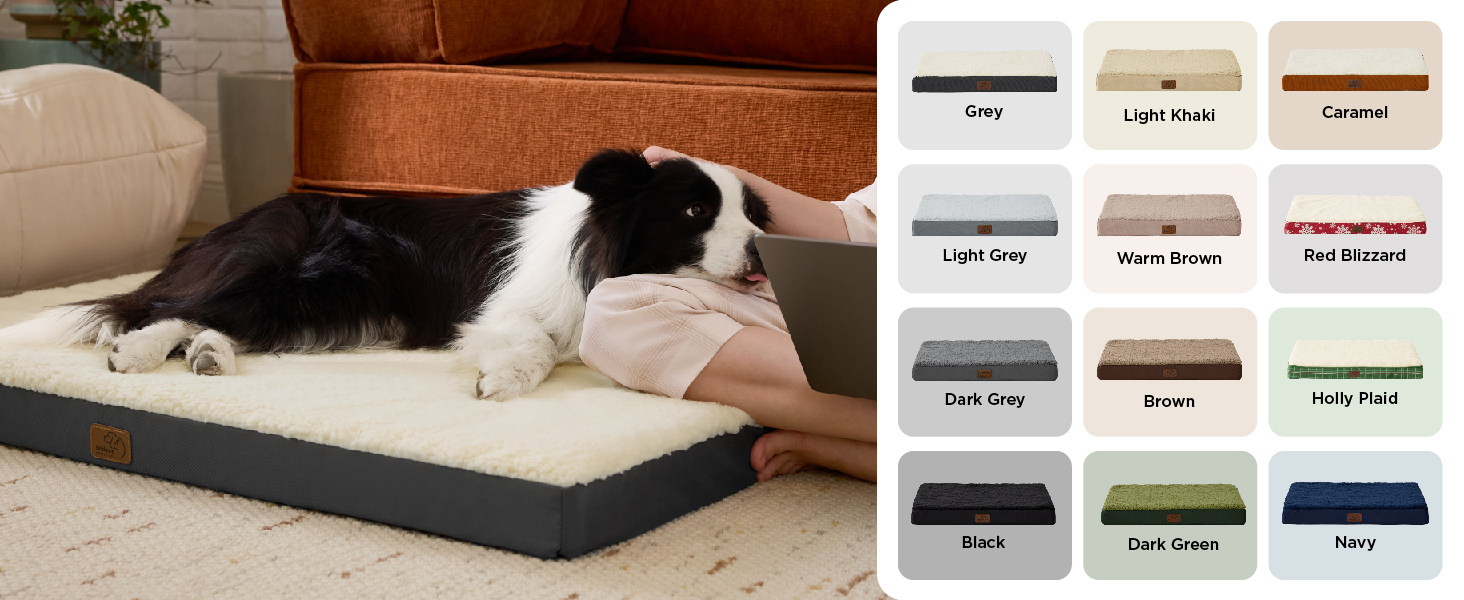 dog bed