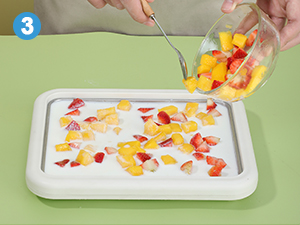 mini ice cream maker