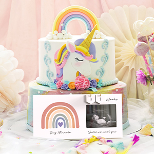 Rainbow Baby Sonogram Picture Frame