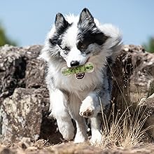 歯磨きボール3 迷彩グリーン