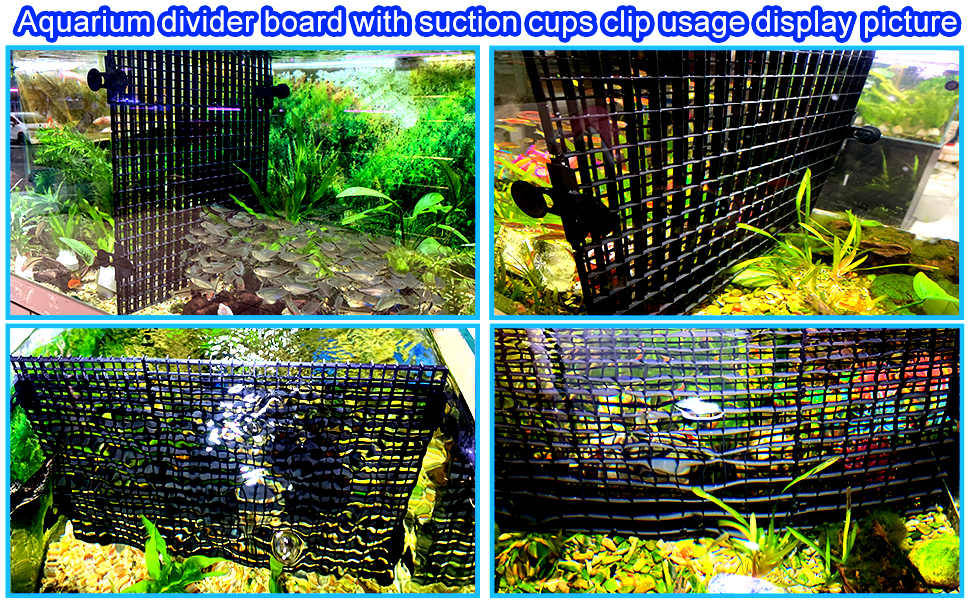 aquarium Fish Tank Isolation Board