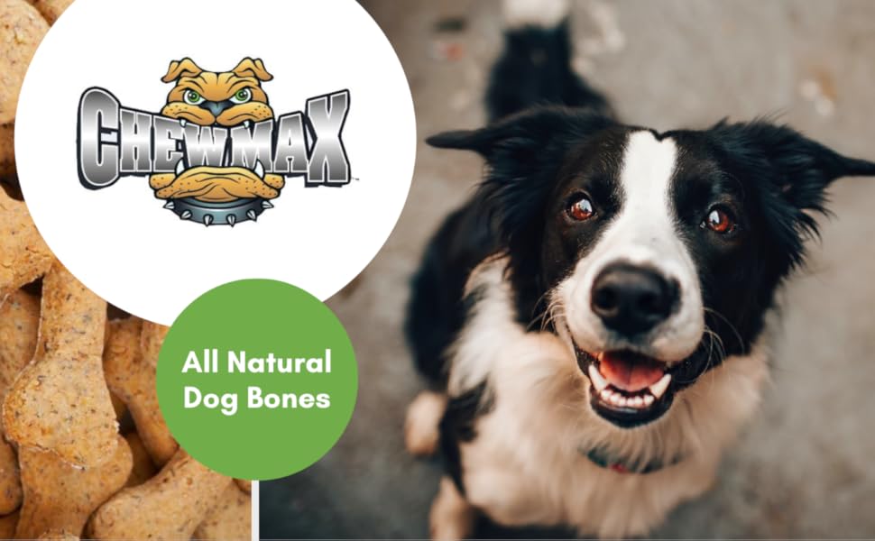 ChewMax, ChewMax Pet Products, Small Business, Local, Dog Bones