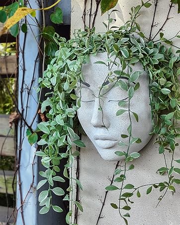 Head Planter for Wall Decor