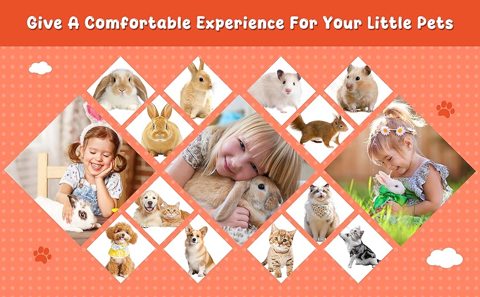 Nice gifts for rabbits, hamsters, guinea pigs and cats or other pets in the household.