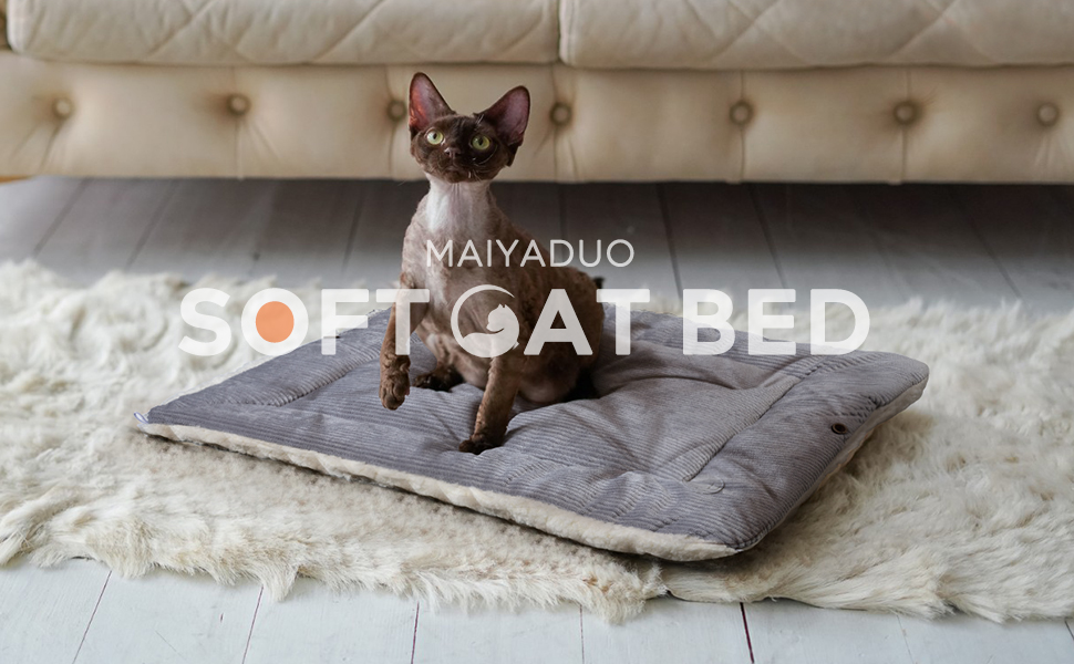 kleines Katzenbett